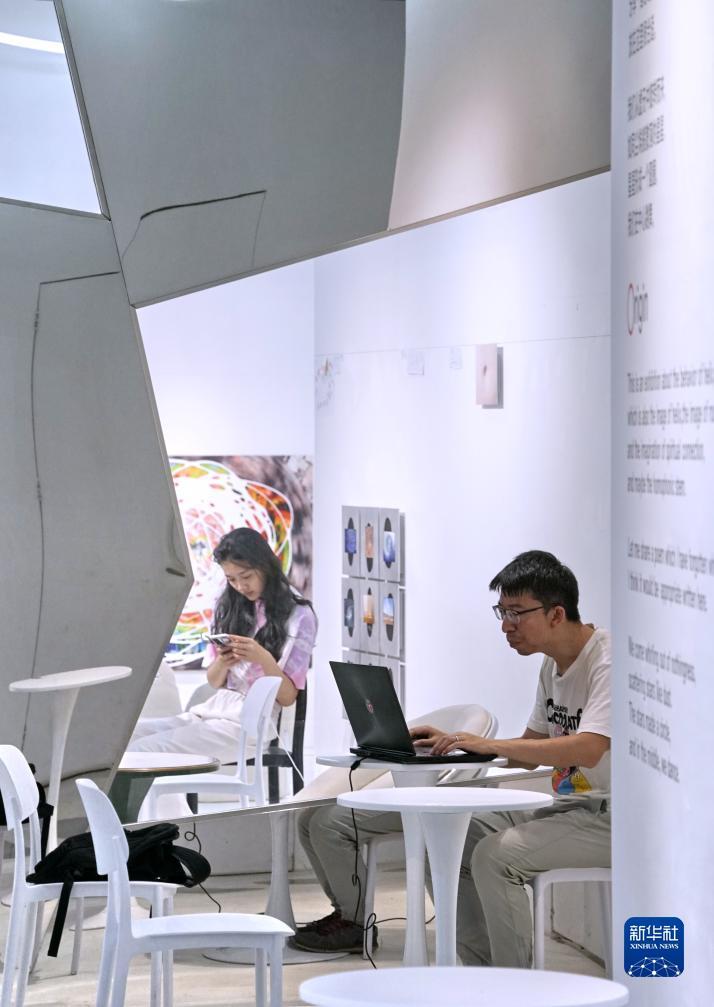 金鸡报喜网站